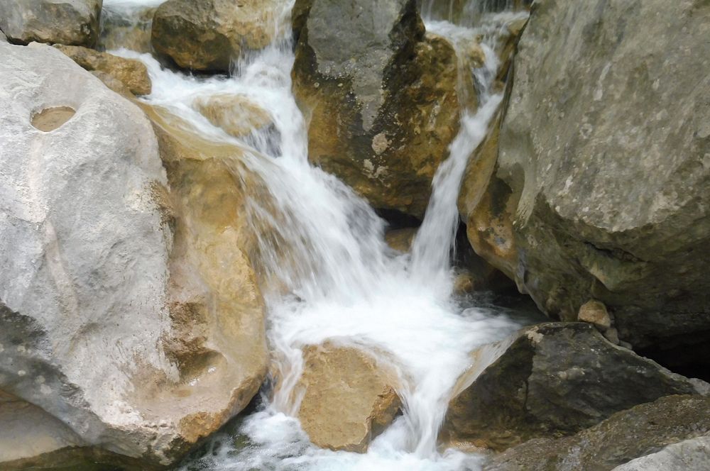 Kytičkový zájezd do pohoří Velebit a do Dalmácie.