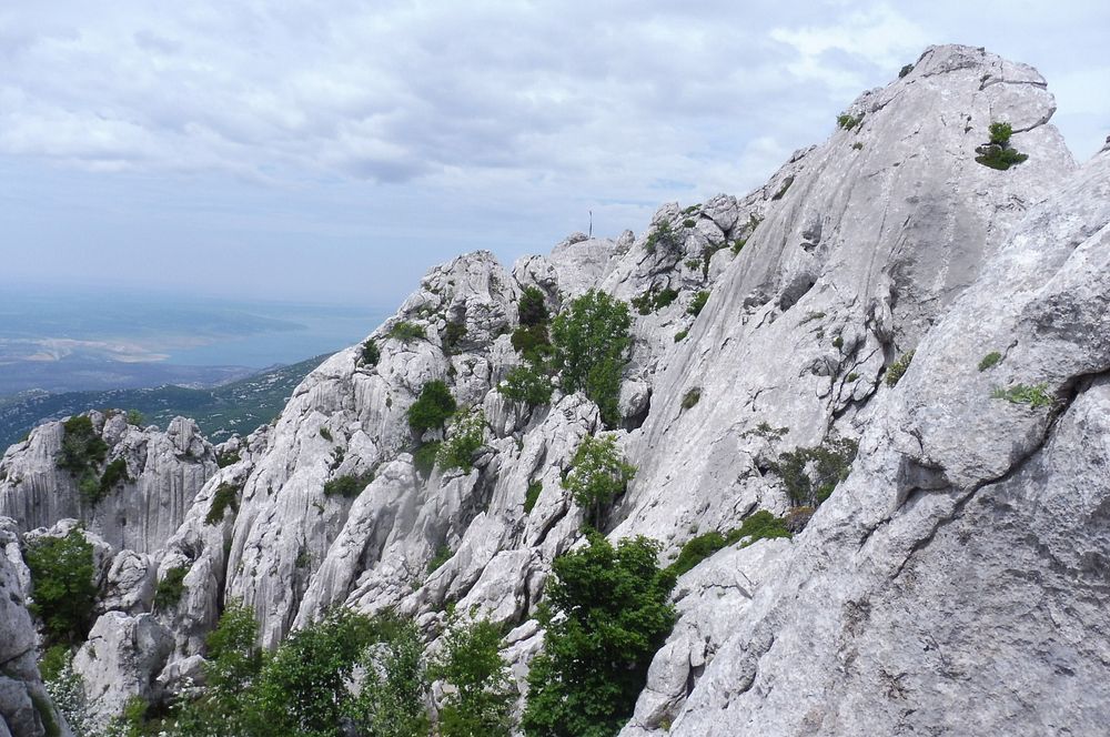 Kytičkový zájezd do pohoří Velebit a do Dalmácie.