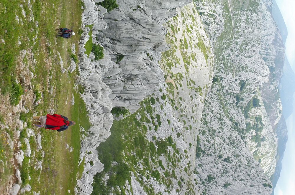 Kytičkový zájezd do pohoří Velebit a do Dalmácie.