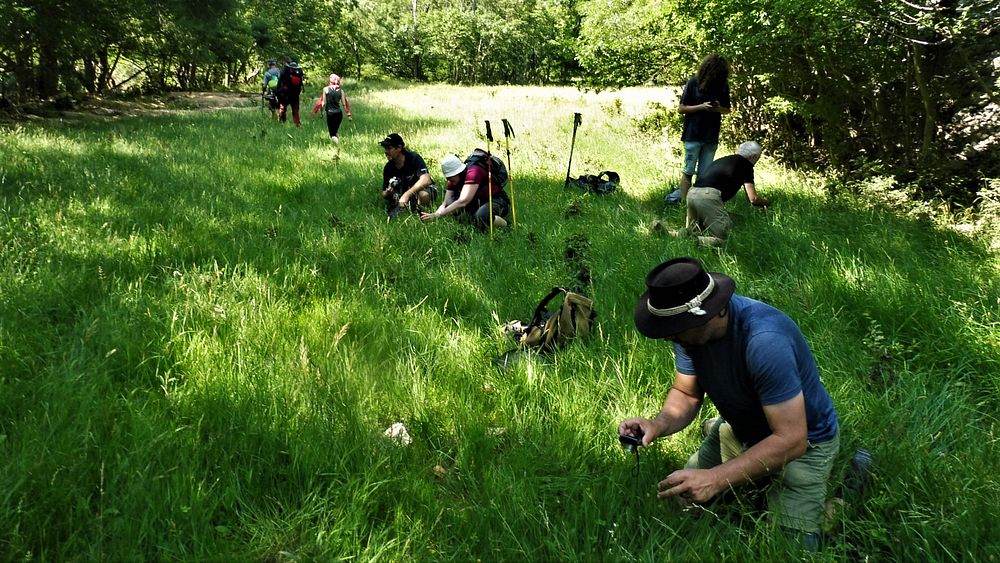 Kytičkový zájezd do pohoří Velebit a do Dalmácie.