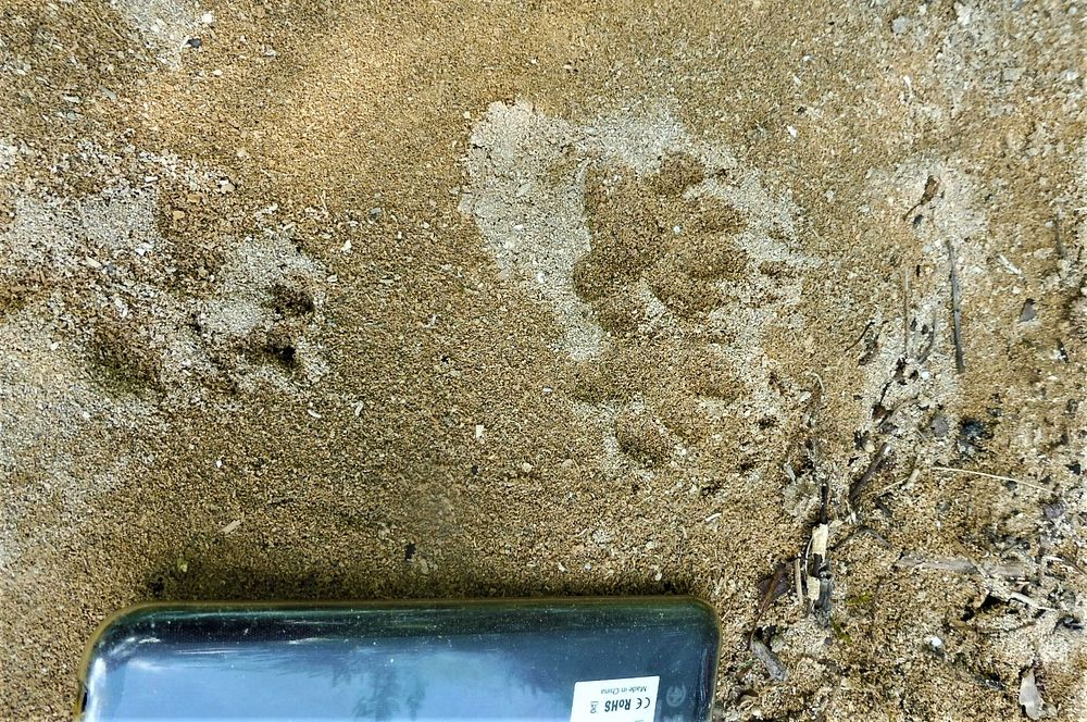 Kytičkový zájezd do pohoří Velebit a do Dalmácie.