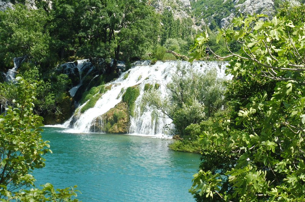 Kytičkový zájezd do pohoří Velebit a do Dalmácie.