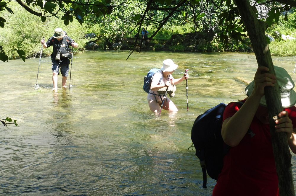 Kytičkový zájezd do pohoří Velebit a do Dalmácie.