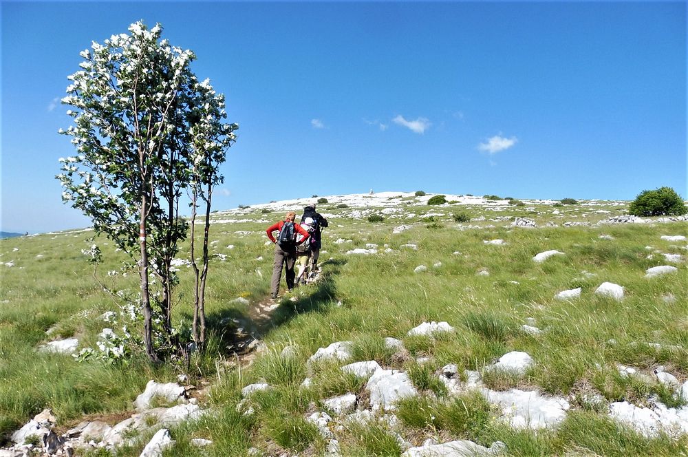 Kytičkový zájezd do pohoří Velebit a do Dalmácie.