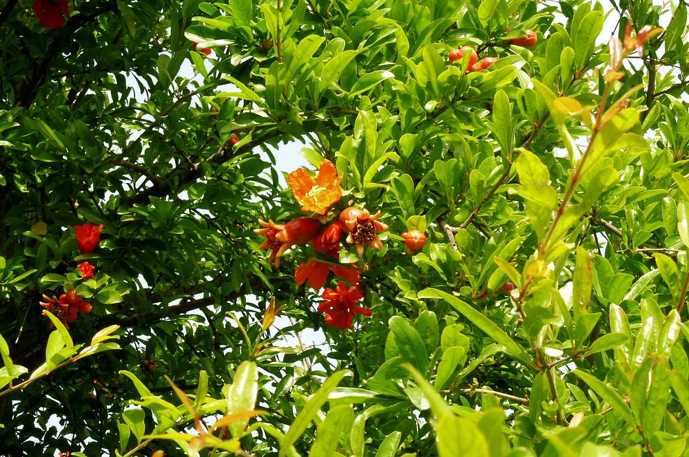 Jižní Albánie a splutí řeky Vjosy