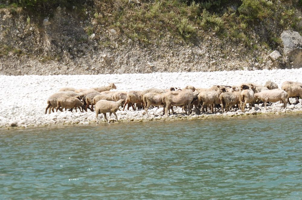 Jižní Albánie a splutí řeky Vjosy