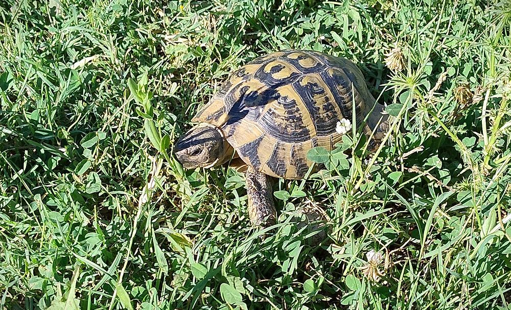 Jižní Albánie a splutí řeky Vjosy