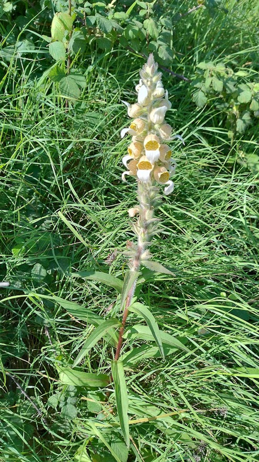 Jižní Albánie a splutí řeky Vjosy