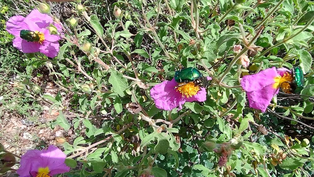 Jižní Albánie a splutí řeky Vjosy