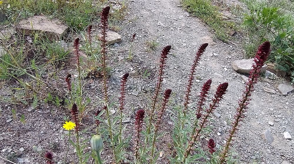 Jižní Albánie a splutí řeky Vjosy