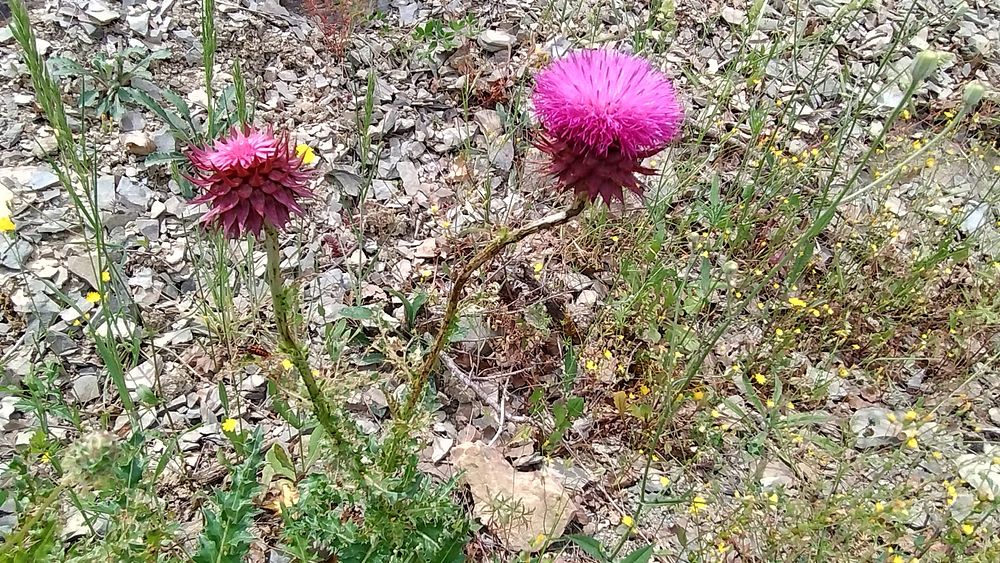 Jižní Albánie a splutí řeky Vjosy