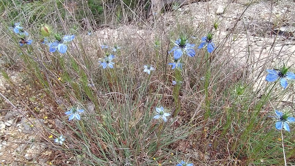 Jižní Albánie a splutí řeky Vjosy