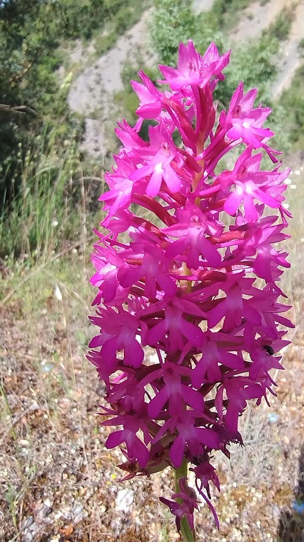 Jižní Albánie a splutí řeky Vjosy