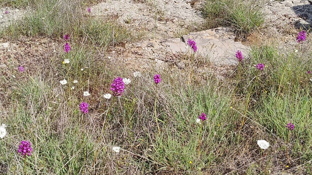 Jižní Albánie a splutí řeky Vjosy