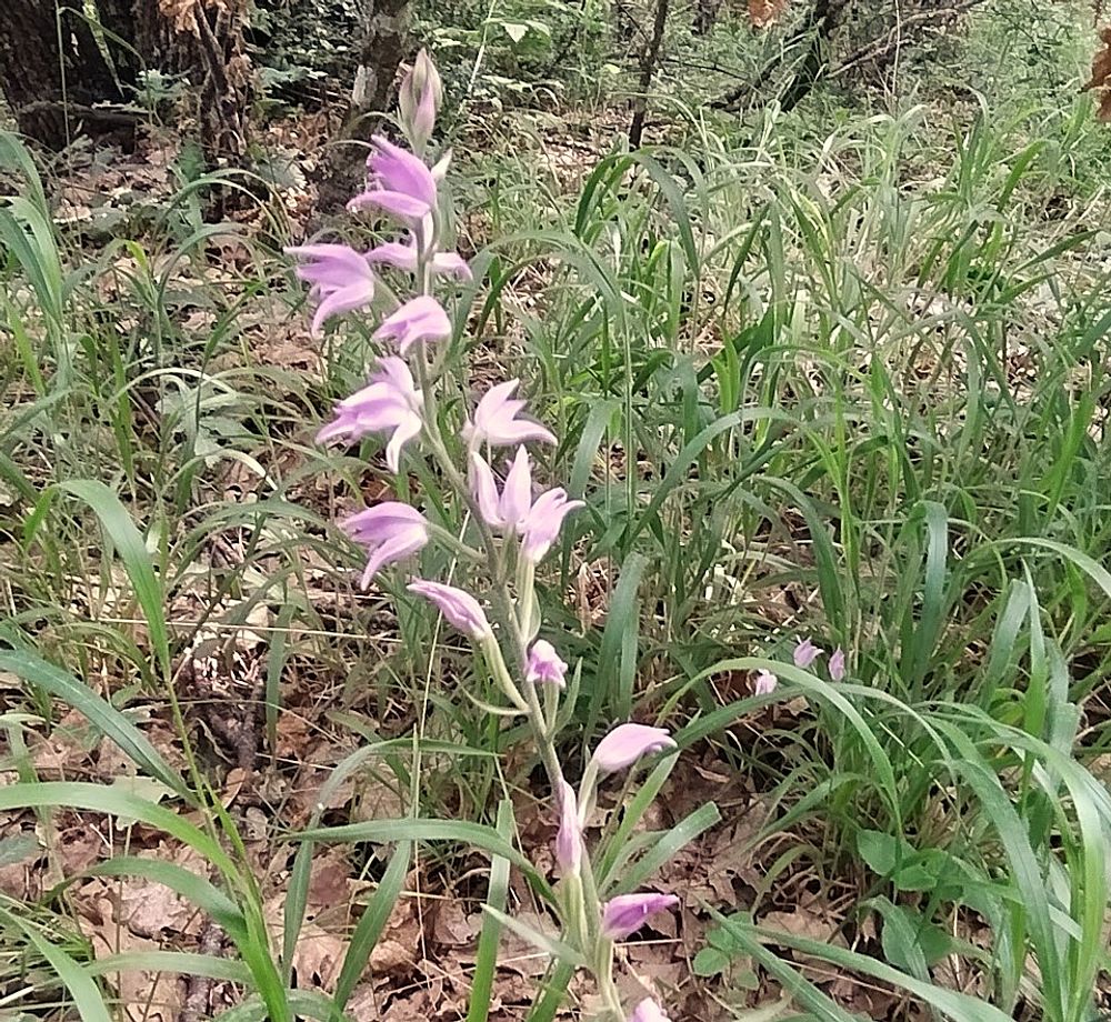 Jižní Albánie a splutí řeky Vjosy