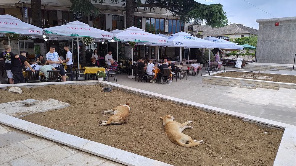 Jižní Albánie a splutí řeky Vjosy