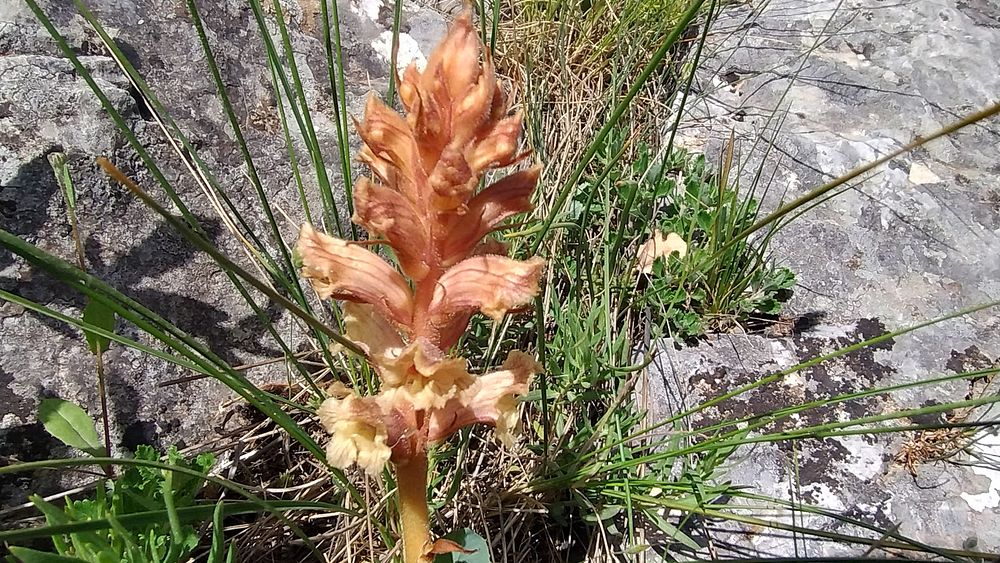 Jižní Albánie a splutí řeky Vjosy