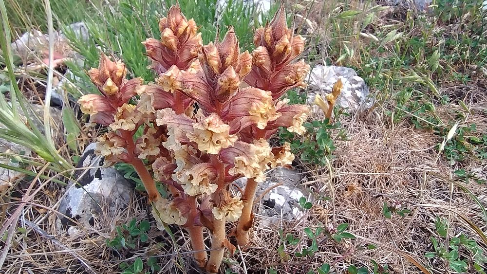 Jižní Albánie a splutí řeky Vjosy