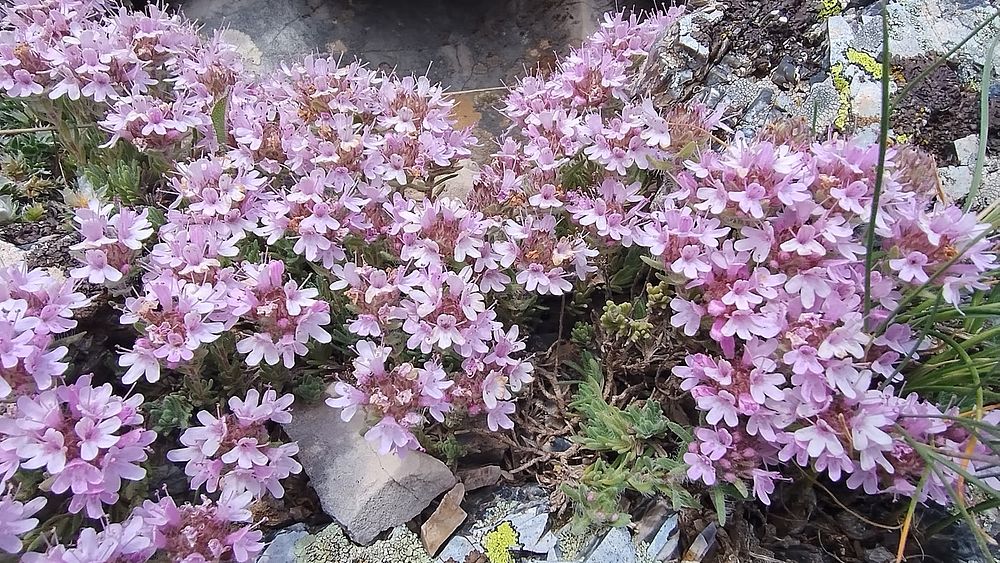 Jižní Albánie a splutí řeky Vjosy