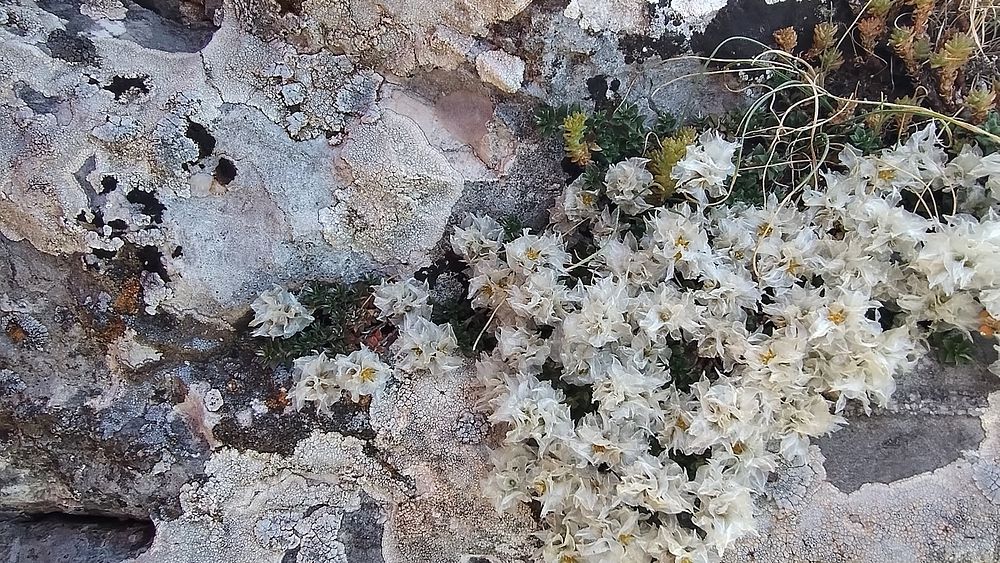 Jižní Albánie a splutí řeky Vjosy