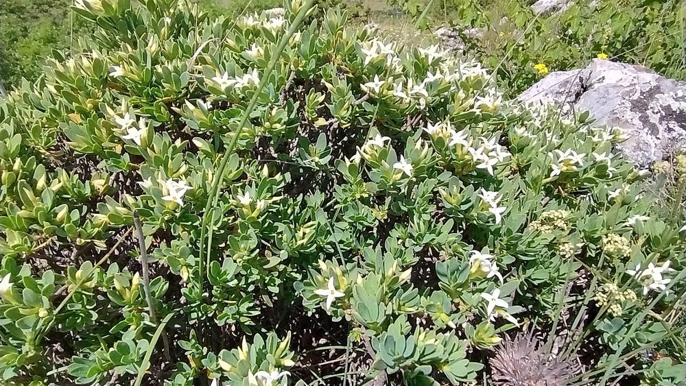 Jižní Albánie a splutí řeky Vjosy