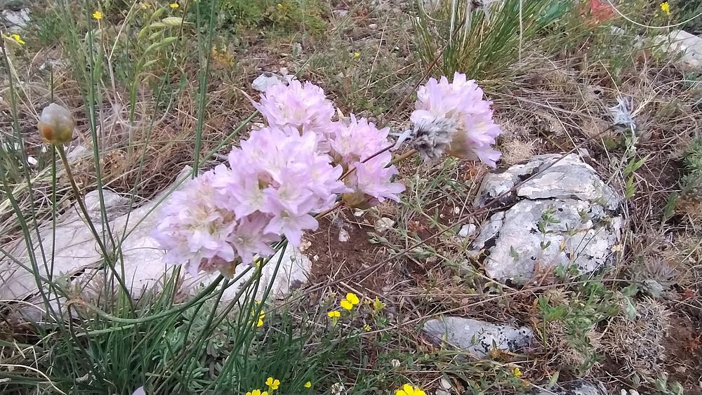 Jižní Albánie a splutí řeky Vjosy