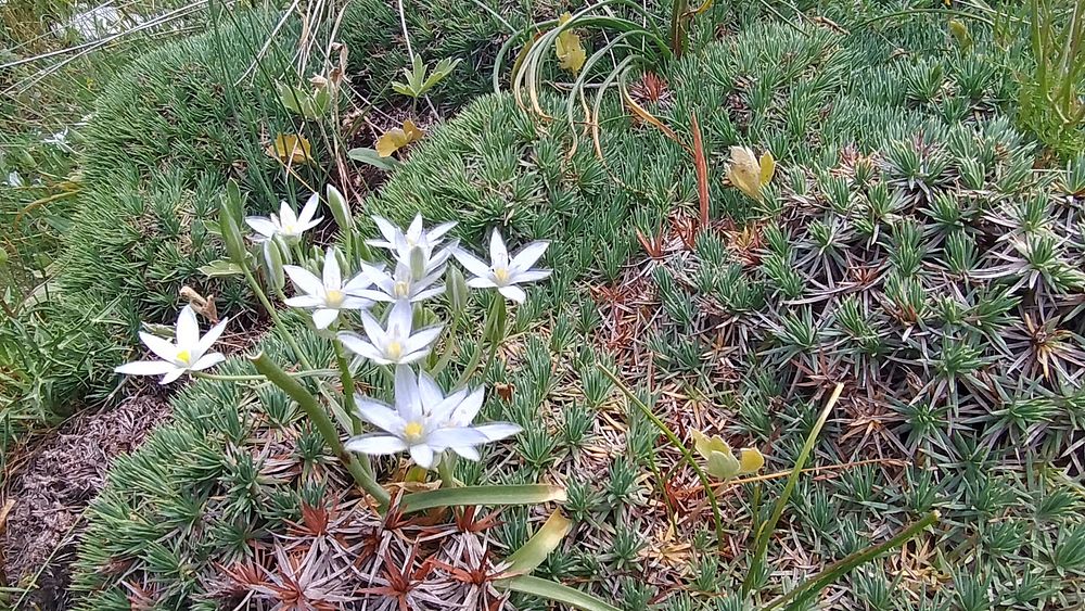 Jižní Albánie a splutí řeky Vjosy