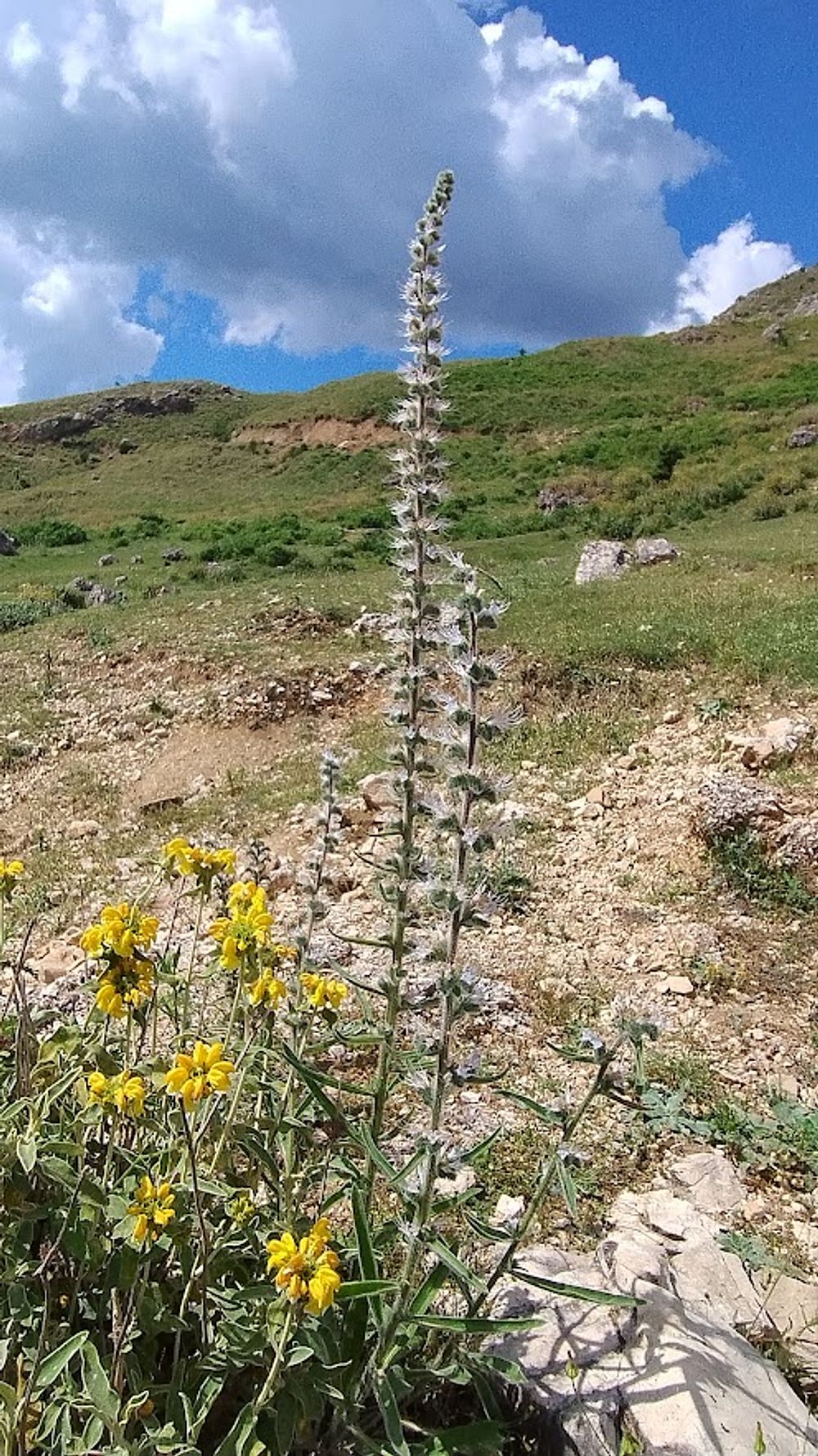 Jižní Albánie a splutí řeky Vjosy