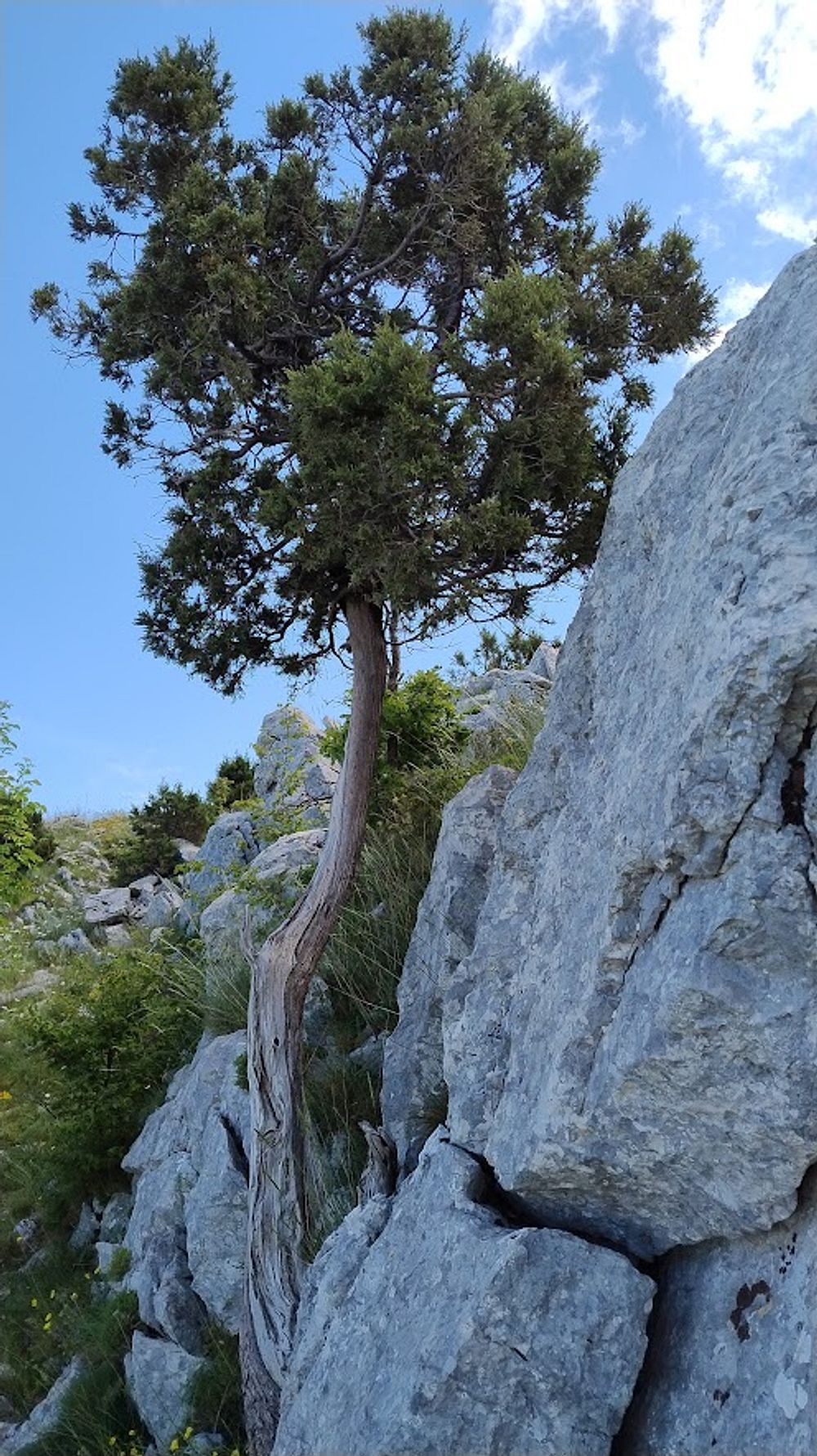 Jižní Albánie a splutí řeky Vjosy