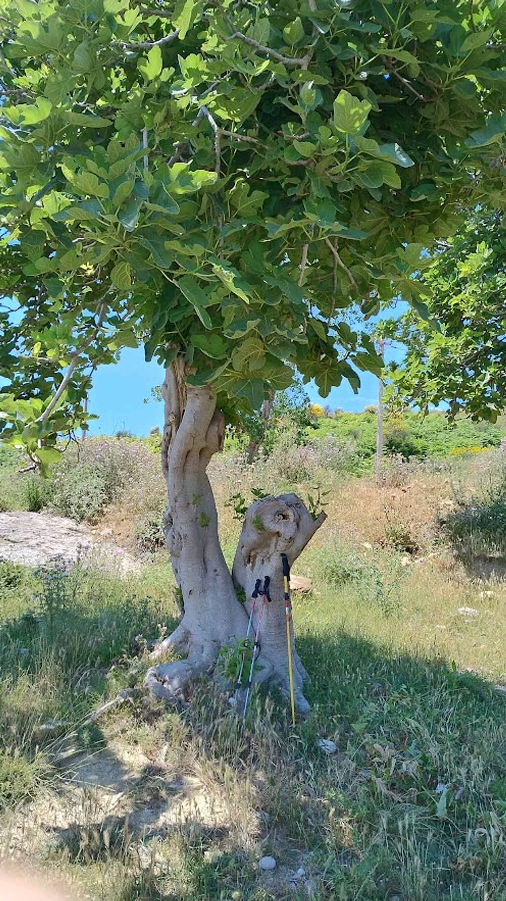 Jižní Albánie a splutí řeky Vjosy