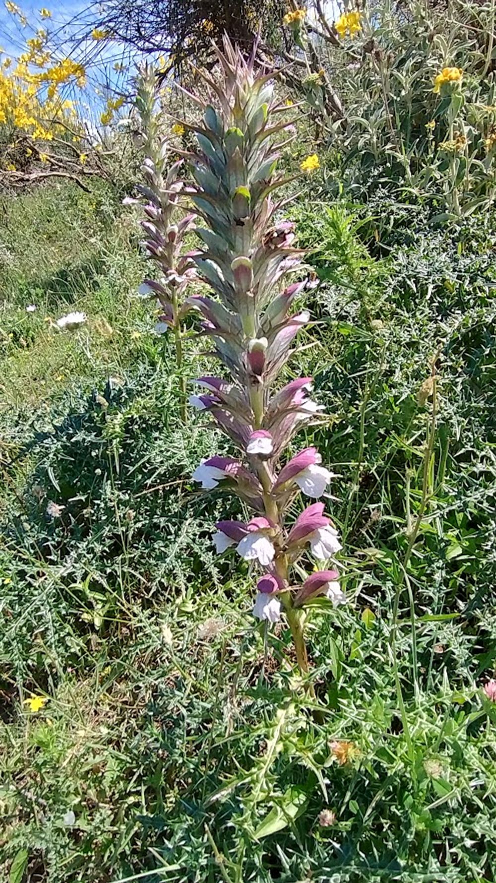 Jižní Albánie a splutí řeky Vjosy