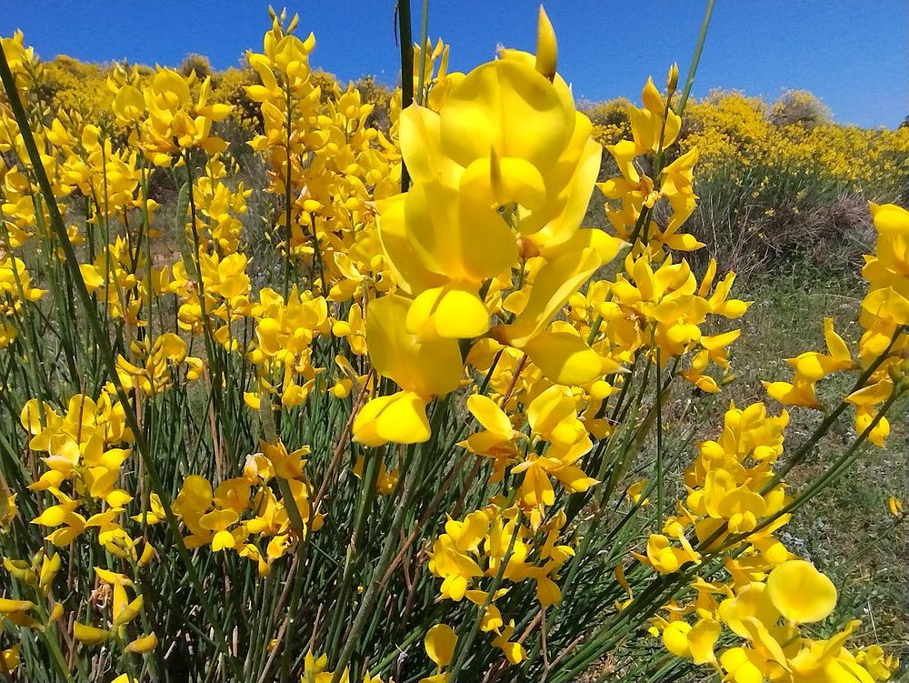 Jižní Albánie a splutí řeky Vjosy