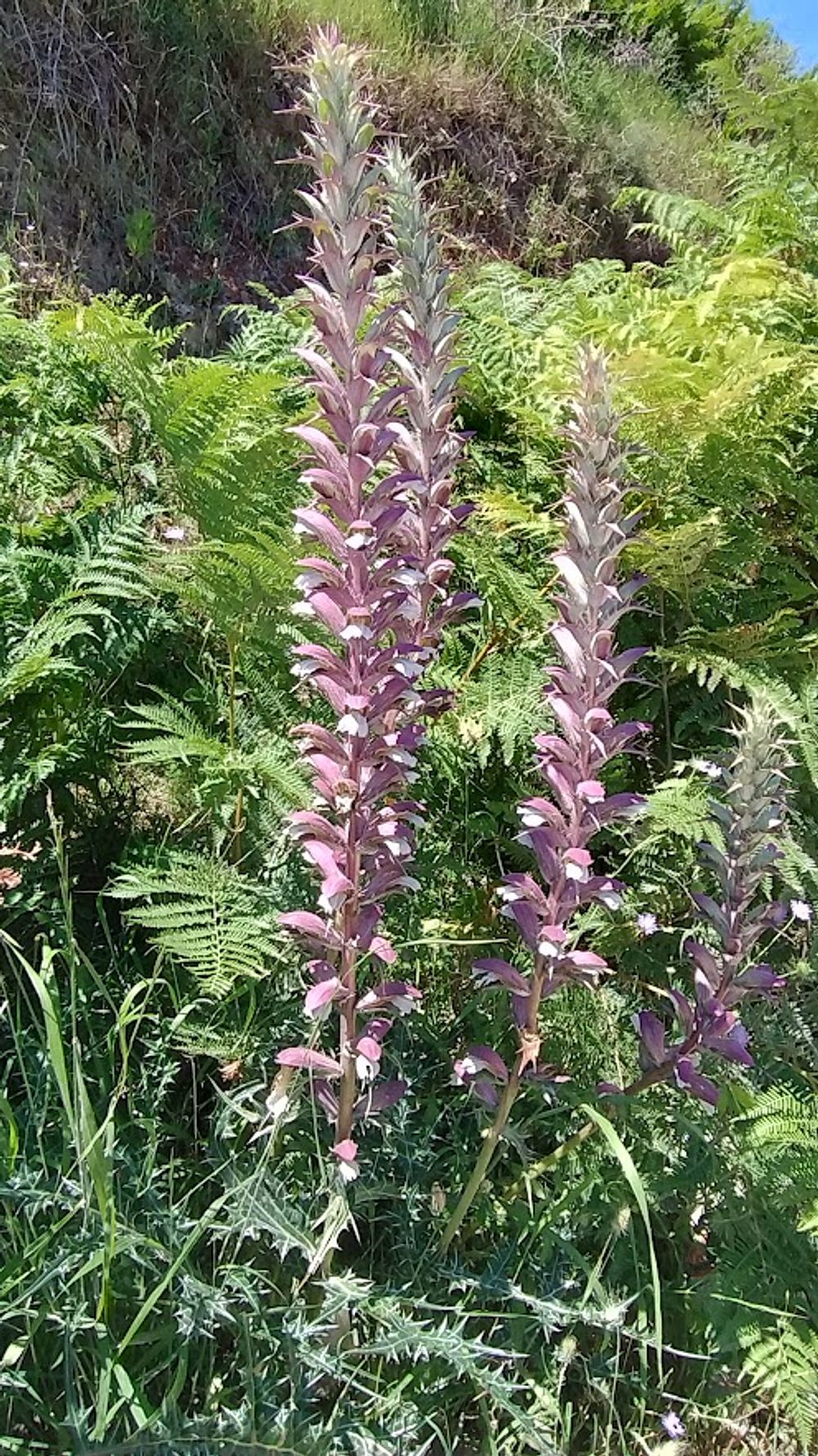 Jižní Albánie a splutí řeky Vjosy