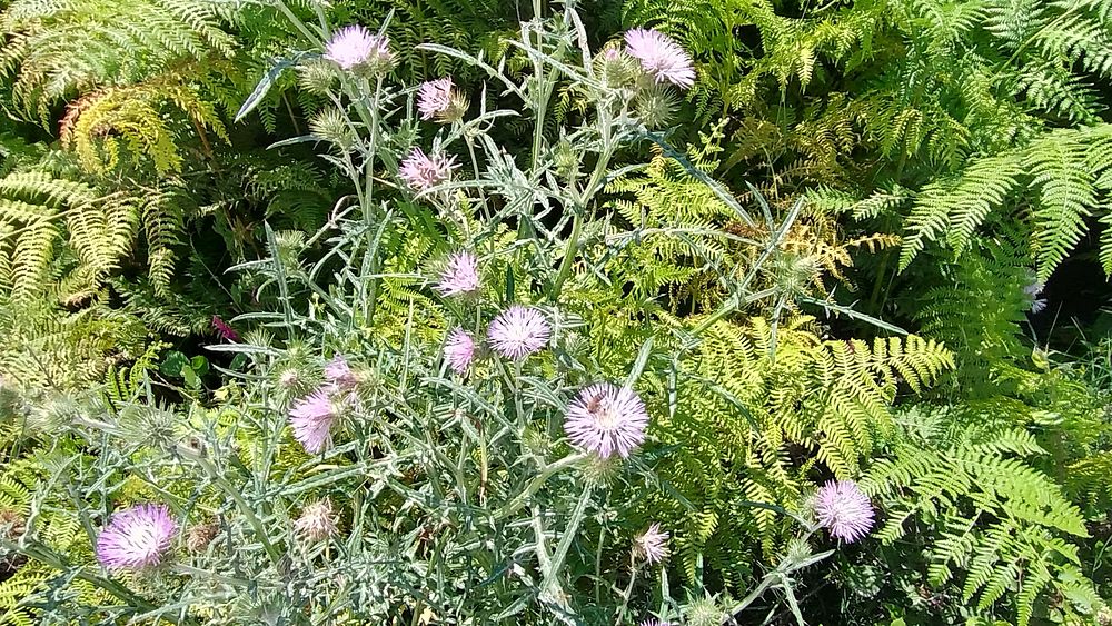 Jižní Albánie a splutí řeky Vjosy