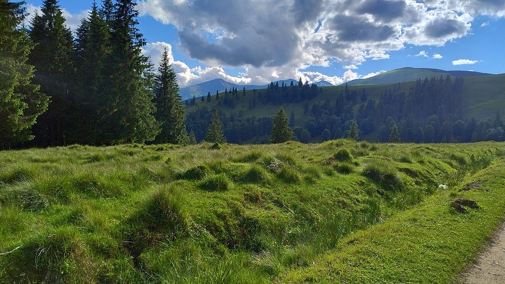 Kytičkový zájezd do hor severního Rumunska