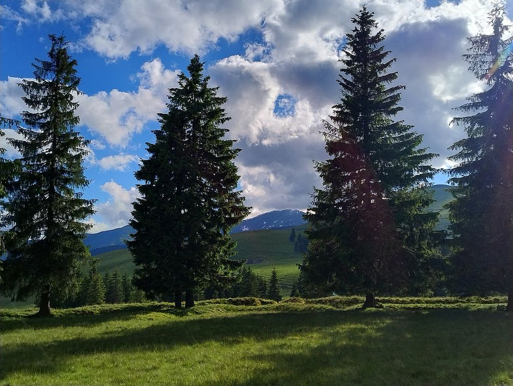 Kytičkový zájezd do hor severního Rumunska