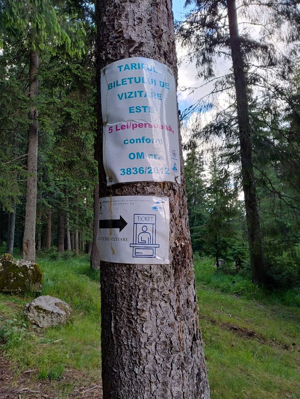 Kytičkový zájezd do hor severního Rumunska