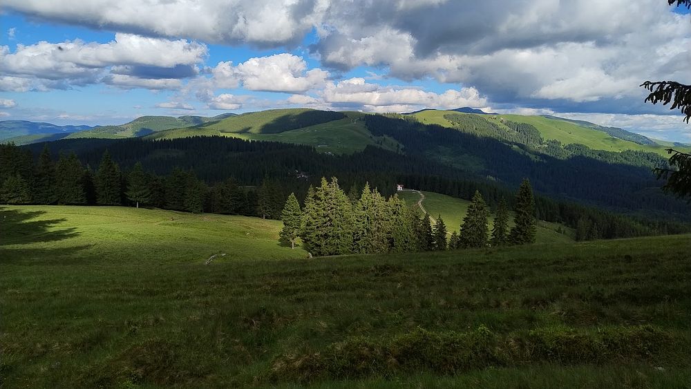 Kytičkový zájezd do hor severního Rumunska