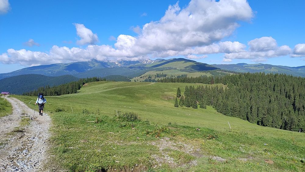 Kytičkový zájezd do hor severního Rumunska