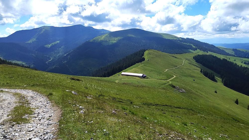 Kytičkový zájezd do hor severního Rumunska