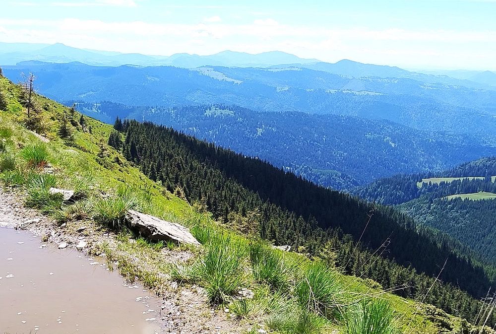 Kytičkový zájezd do hor severního Rumunska