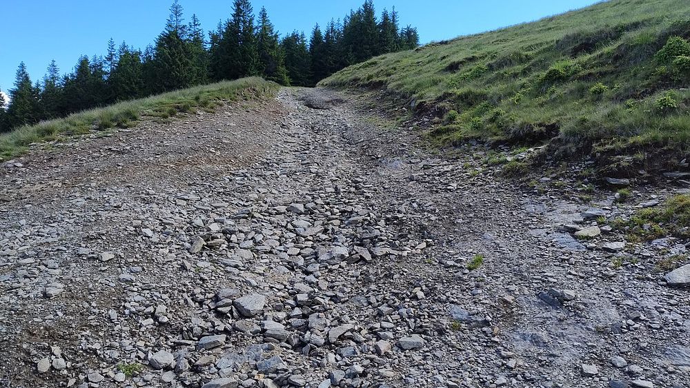 Kytičkový zájezd do hor severního Rumunska