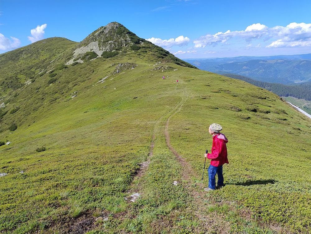 Kytičkový zájezd do hor severního Rumunska
