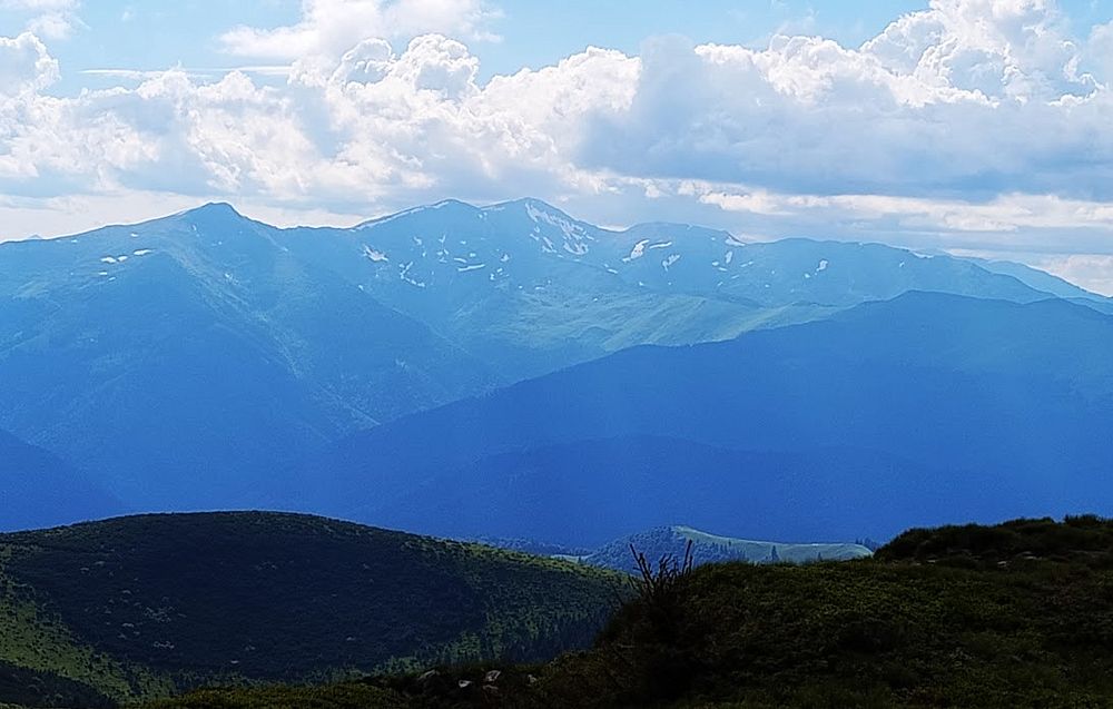 Kytičkový zájezd do hor severního Rumunska
