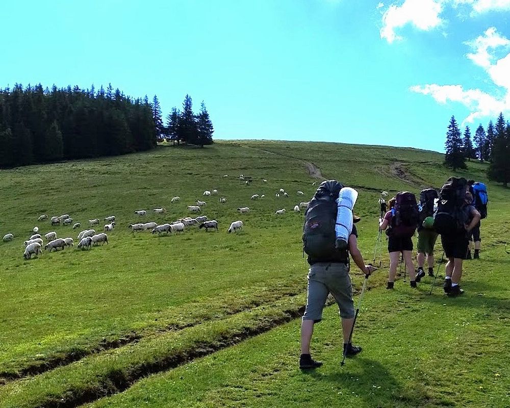 Kytičkový zájezd do hor severního Rumunska