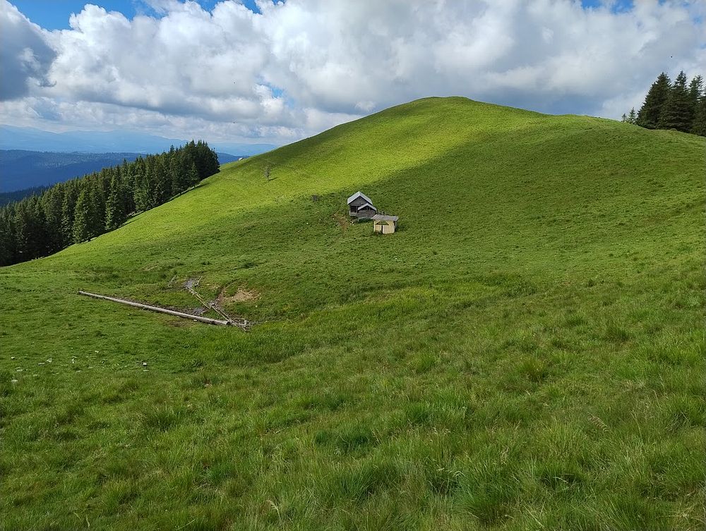 Kytičkový zájezd do hor severního Rumunska