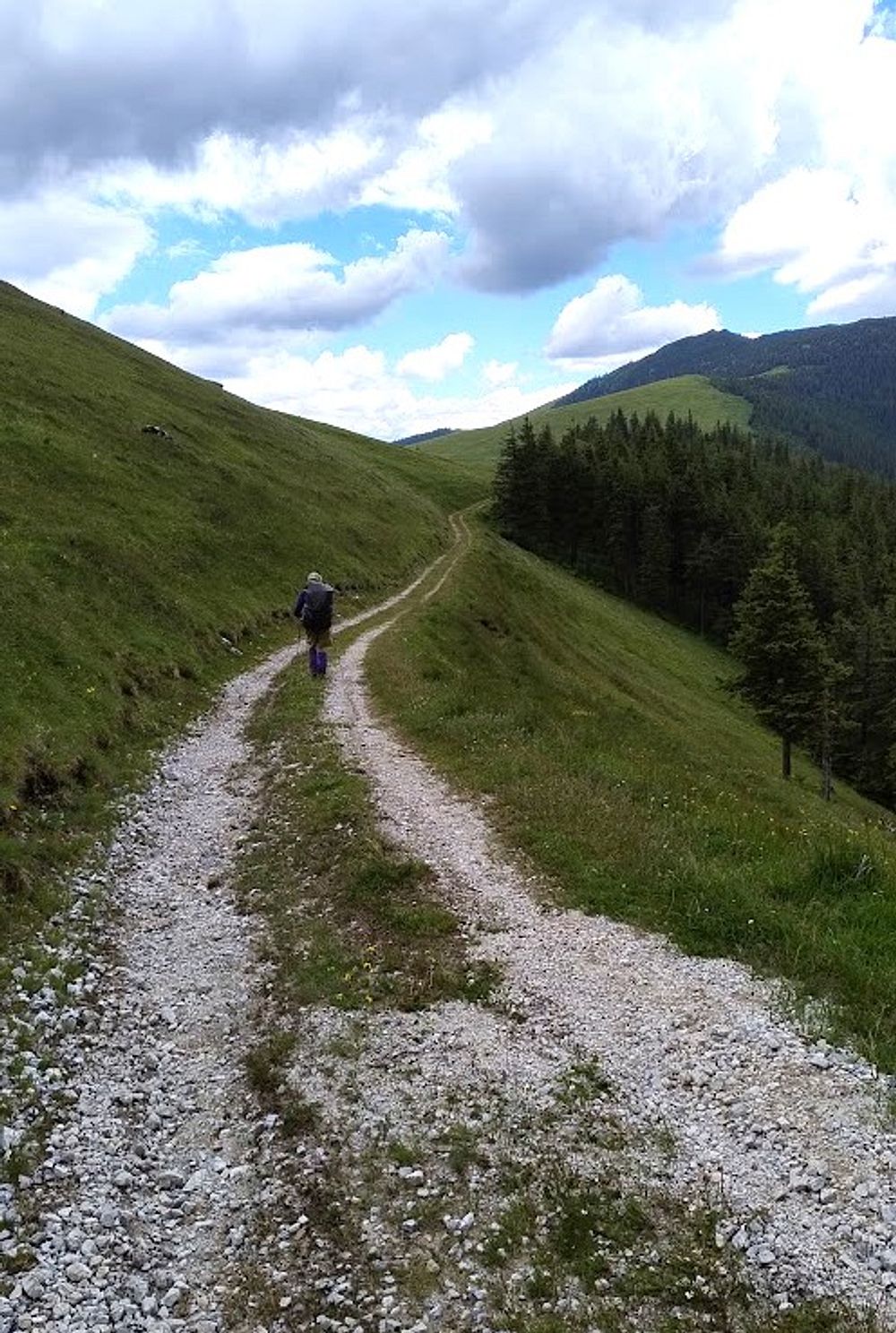 Kytičkový zájezd do hor severního Rumunska