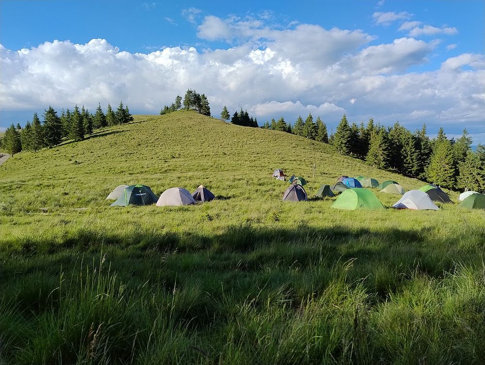 Kytičkový zájezd do hor severního Rumunska