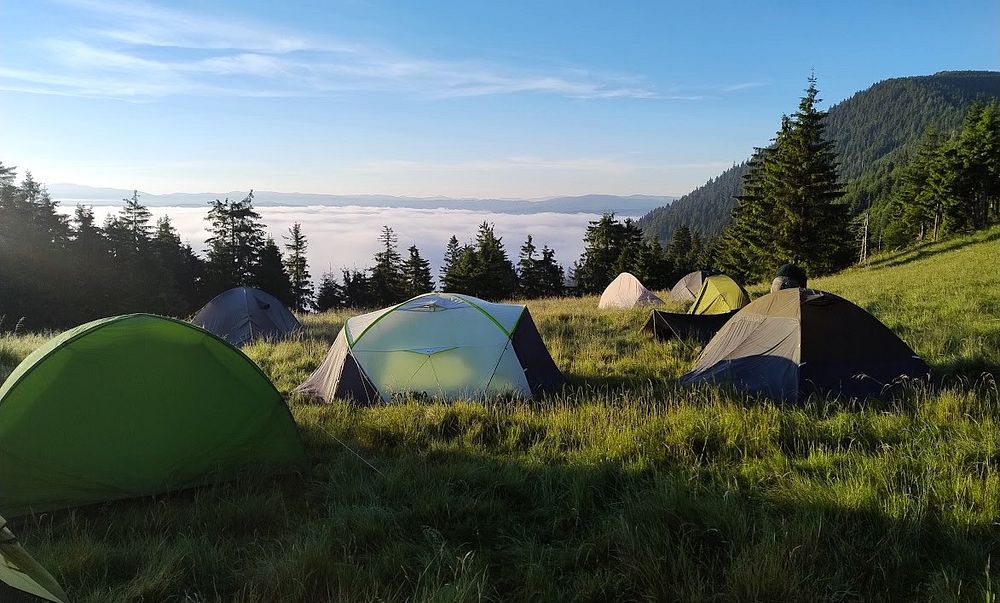 Kytičkový zájezd do hor severního Rumunska