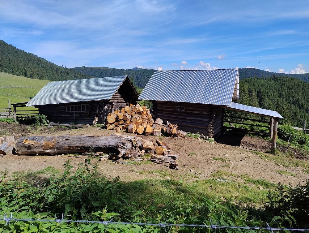 Kytičkový zájezd do hor severního Rumunska